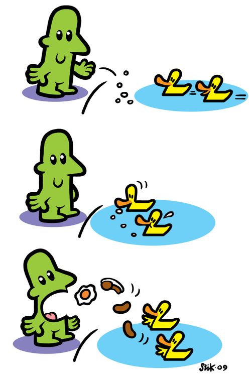 Man feeds ducks, then ducks feed man.