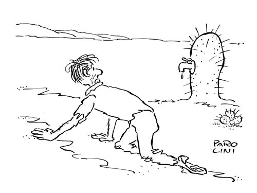 Cactus with tap.