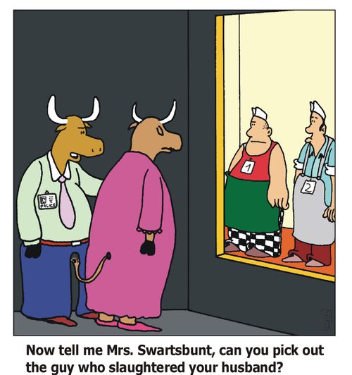 'Now tell me Mrs. Swartsbunt, can you pick out the guy who slaughtered your husband?'