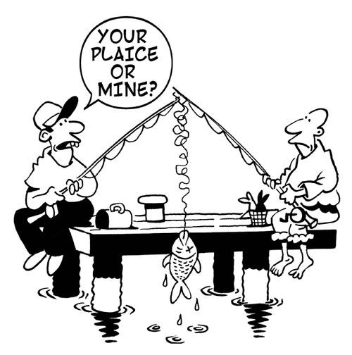 'Your plaice or mine?'