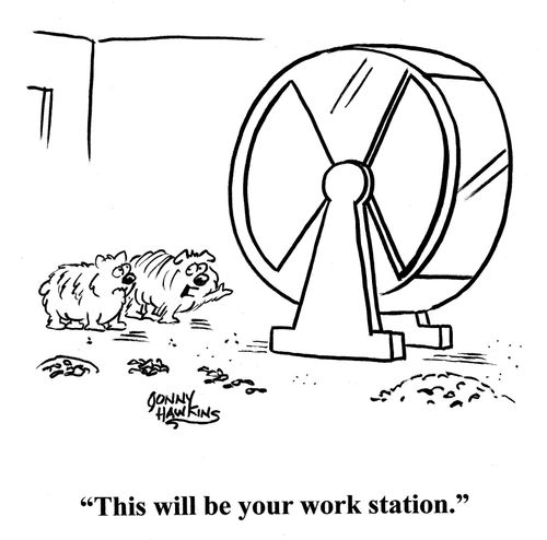 Hamster to other about wheel: 'This will be your work station.'