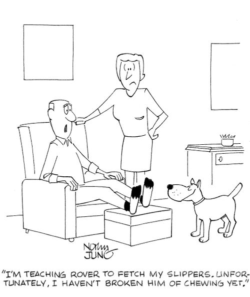 'I'm teaching rover to fetch my slippers. Unfortunately, I haven't broken him of chewing yet.'