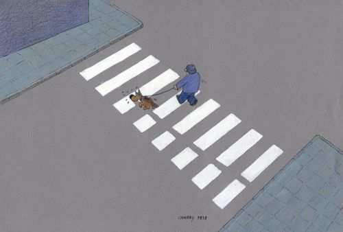 Zebra crossing with dog.