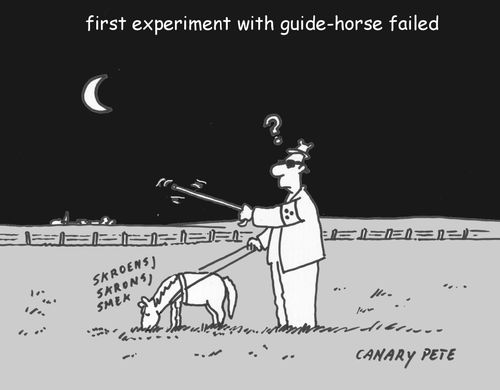 First experiment with guide-horse failed.