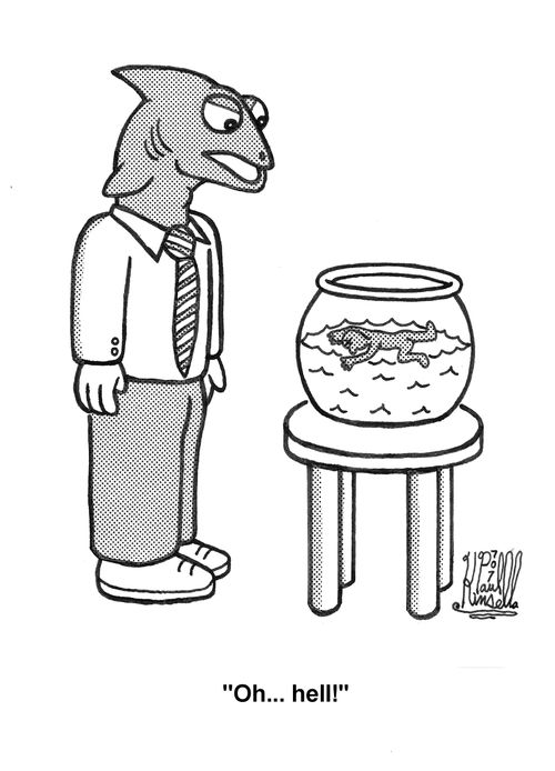 'Oh... hell!' (fish bowl)