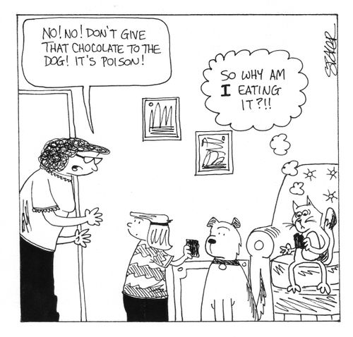 'No! No! Don't give that chocolate to the dog! It's poison!...'