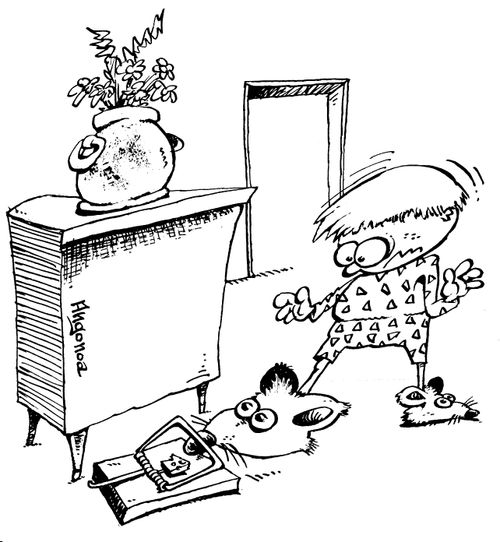 Child's slipper getting caught in a mousetrap.