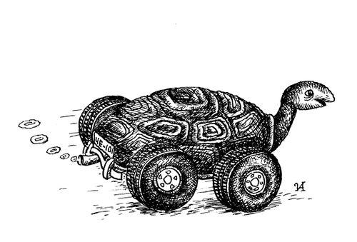Tortoise with Motor