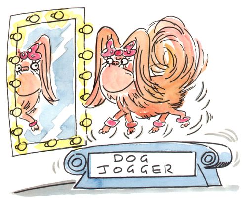 Dog Jogger