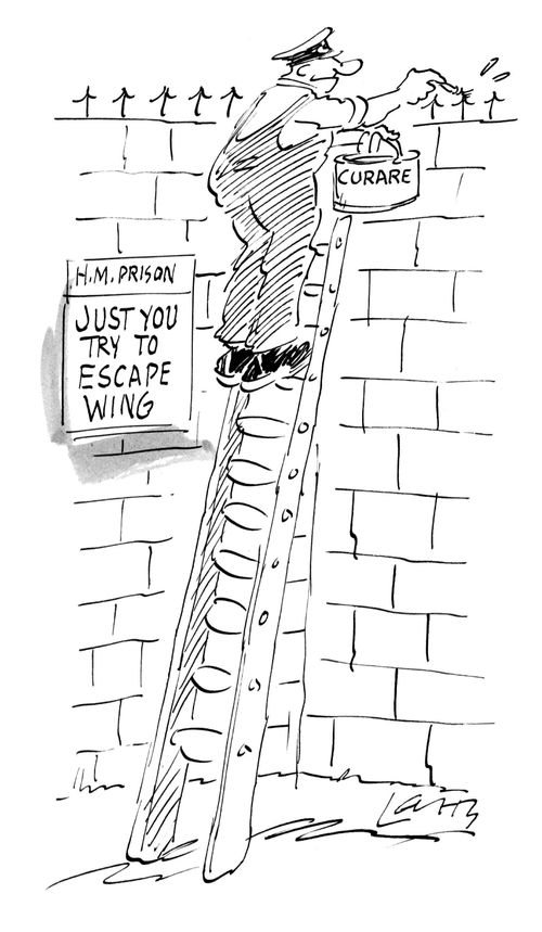 The "Just You Try to Escape" Wing