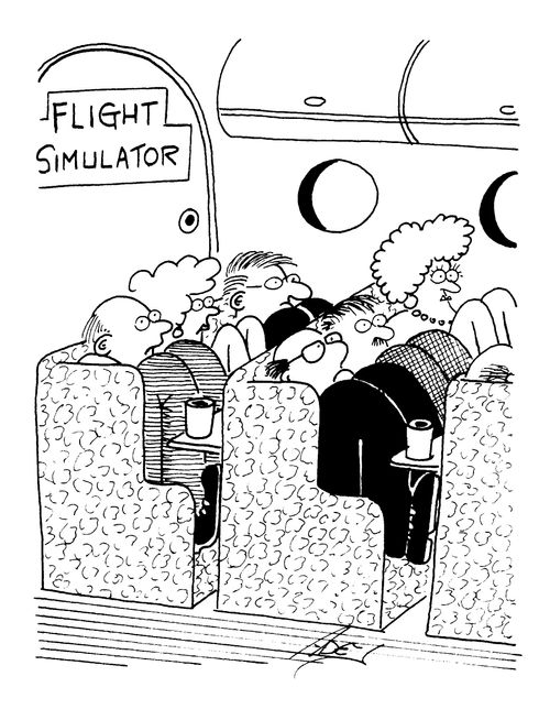 'Flight simulator'
