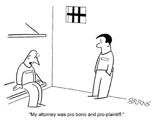 "My attorney was pro bono and pro plaintiff"