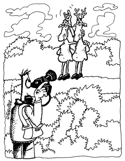 Wildlife photographer.