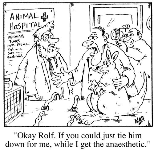 "Okay Rolf, if you could just tie him down for me, while I get the anaesthetic"