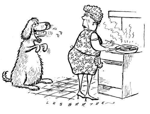 Dog begging for a sausage