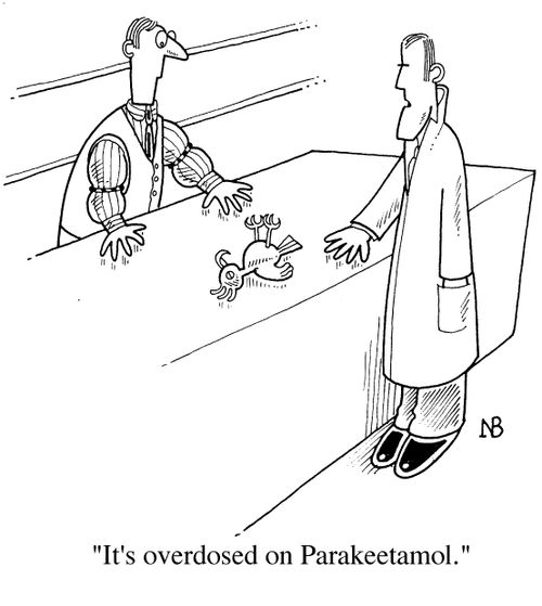 "It's overdosed on Parakeetamol."