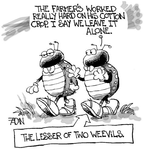 The lesser of two weevils: "The farmer's worked really hard on his cotton crop. I say we leave it alone."