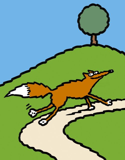 fox running up a hill