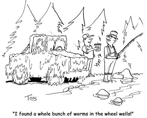'I found a whole bunch of worms in the wheel wells!'