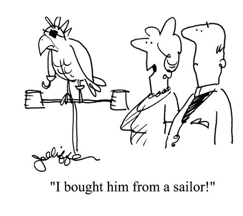 'I bought him from a sailor!'