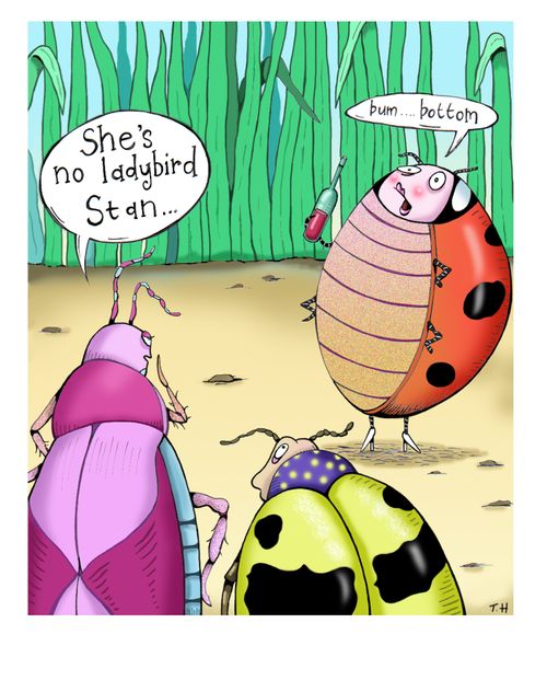 'She's no ladybird Stan...' - Ladybird says 'bum...bottom.'
