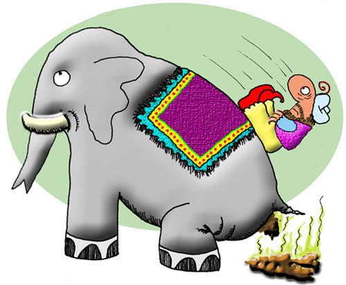 Elephant & Sheik