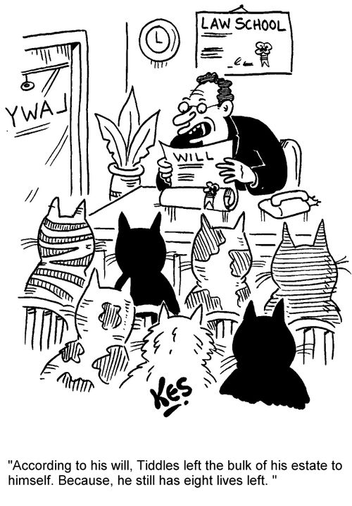 'According to his will, Tiddles left the bulk of his estate to himself. Because, he still has eight lives left.'