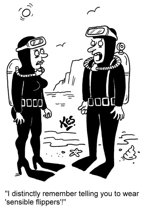 'I distinctly remember telling you to wear 'sensible flippers'!'