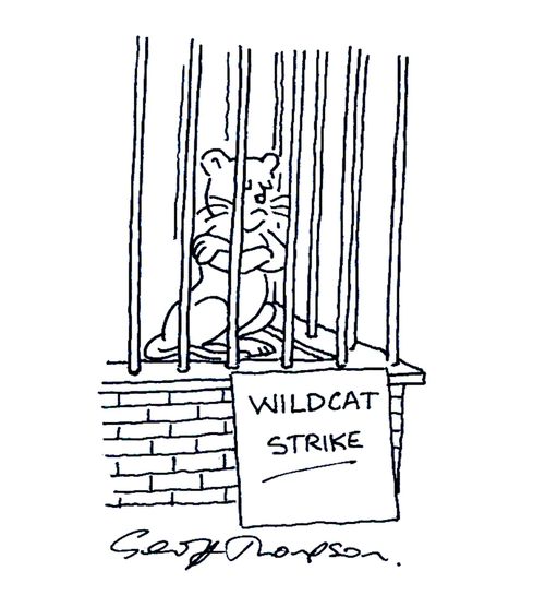 Wildcat Strike.