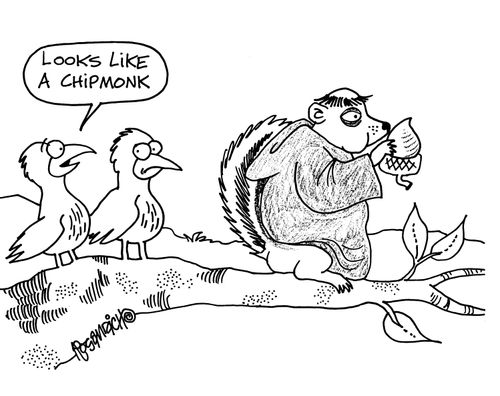 'Looks like a chipmonk.'