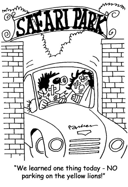 'We learned one thing today - NO parking on the yellow lions!'