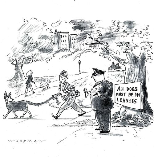 'All dogs must be on leashes.'