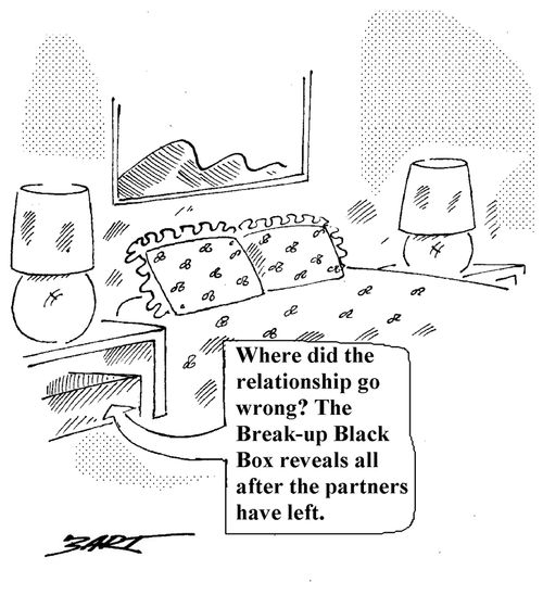 Where did the relationship go wrong? The Break-up Black Box reveals all after the partners have left.
