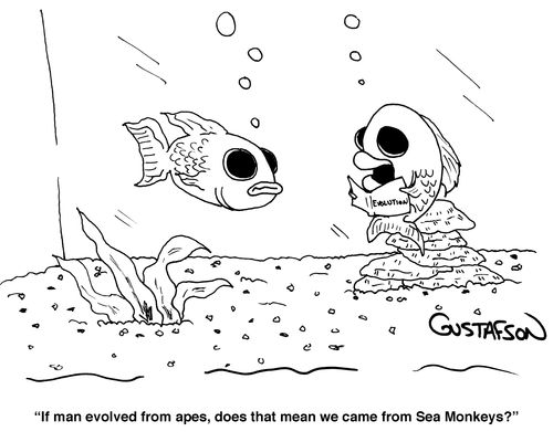 "If man evolved from apes,does that mean we came from Sea Monkeys?"