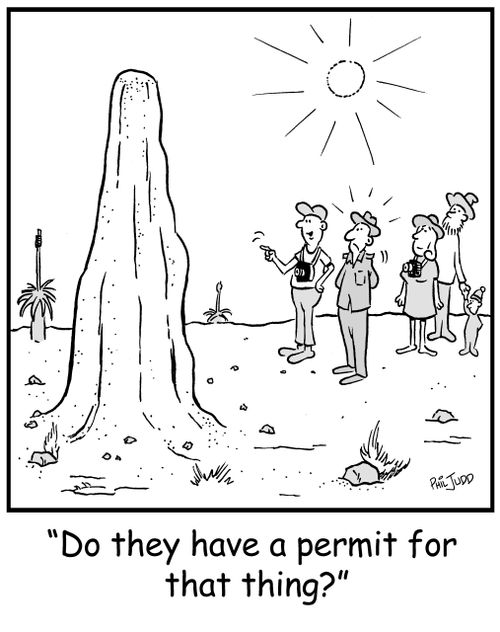 'Do they have a permit for that thing?'