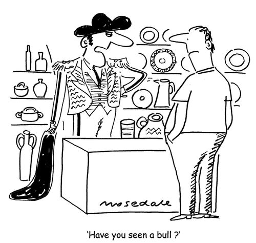 'Have you seen a bull?'