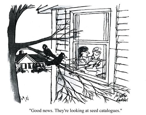 'Good news. They're looking at seed catalogues.'