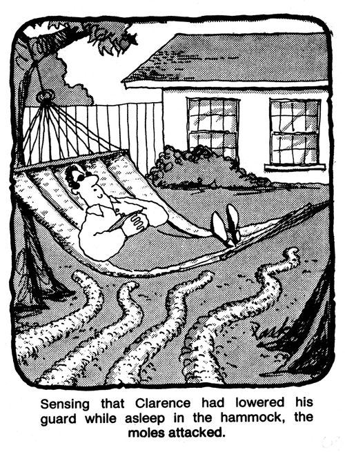 Sensing that Clarence had lowered his guard while asleep in the hammock, the moles attacked.