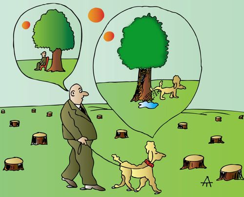 Destruction of Daydreams by Deforestation