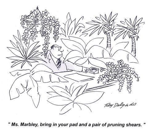 'Ms. Marbley, bring in your pad and a pair of pruning shears.'