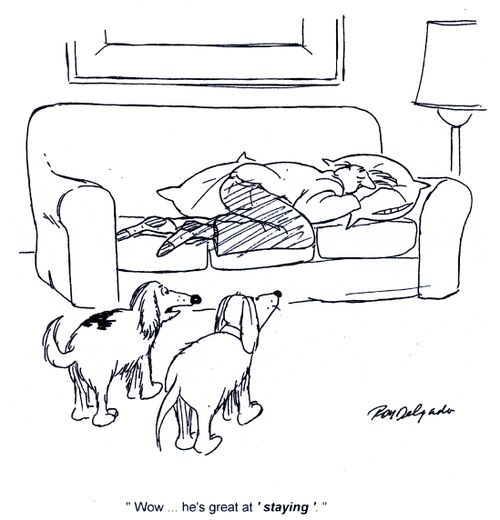 'Wow...he's great at 'staying'.'