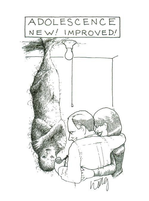 Adolescence: New! Improved!