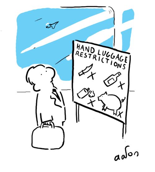 Hand Luggage Restrictions.