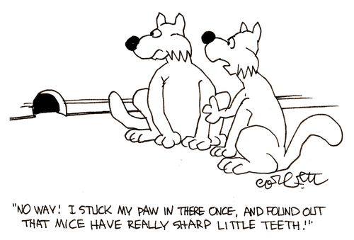 'No way! Mice have really sharp little teeth.'