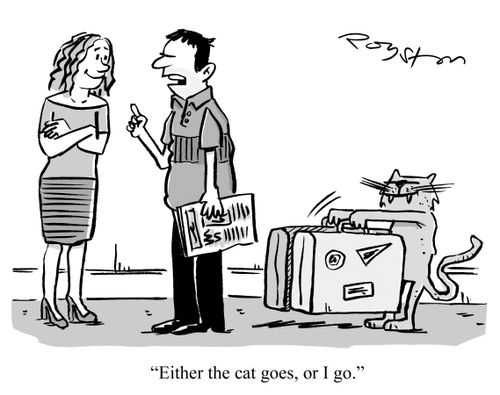 Man says: 'Either that cat goes or I go.' 