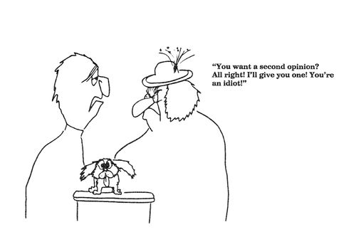 "You want a second opinion,,,You're an idiot,"