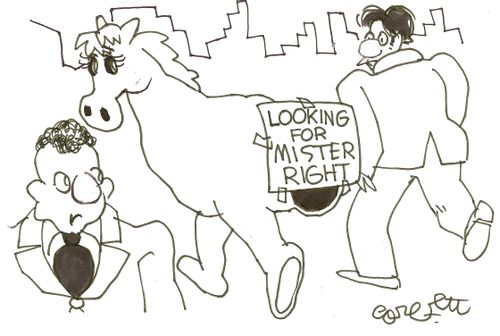 Looking for Mr Right