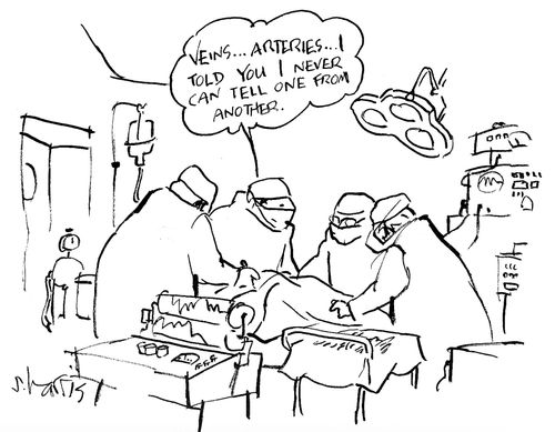 'Veins...arteries...I told you I can never tell one from another.'