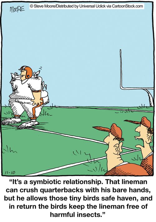 'It's a symbiotic relationship. That lineman can crush quarterbacks with his bare hands...'