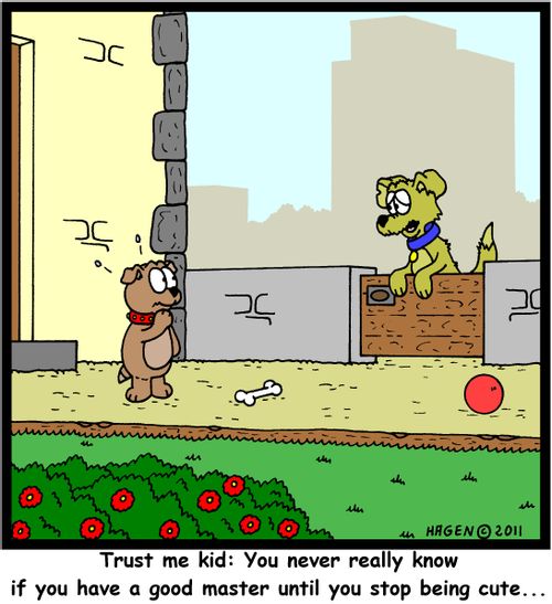 'Trust me kid: You never really know if you have a good master until you stop being cute...'